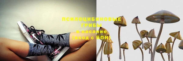 соль ск Володарск