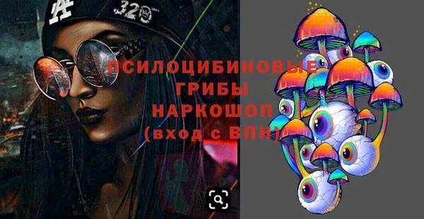 твердый Бородино