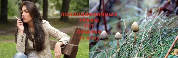 ECSTASY Верхний Тагил