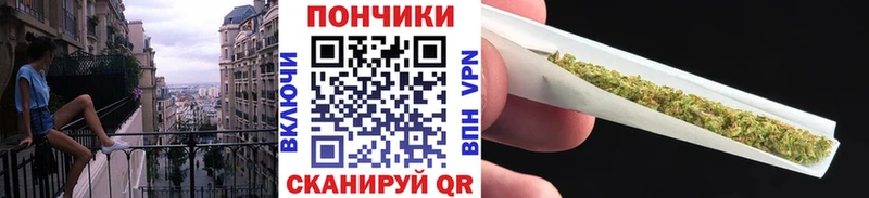 Шишки марихуана план  OMG   Кемь 